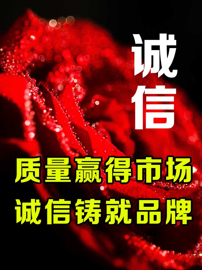 ֣��ȺӢ����-����